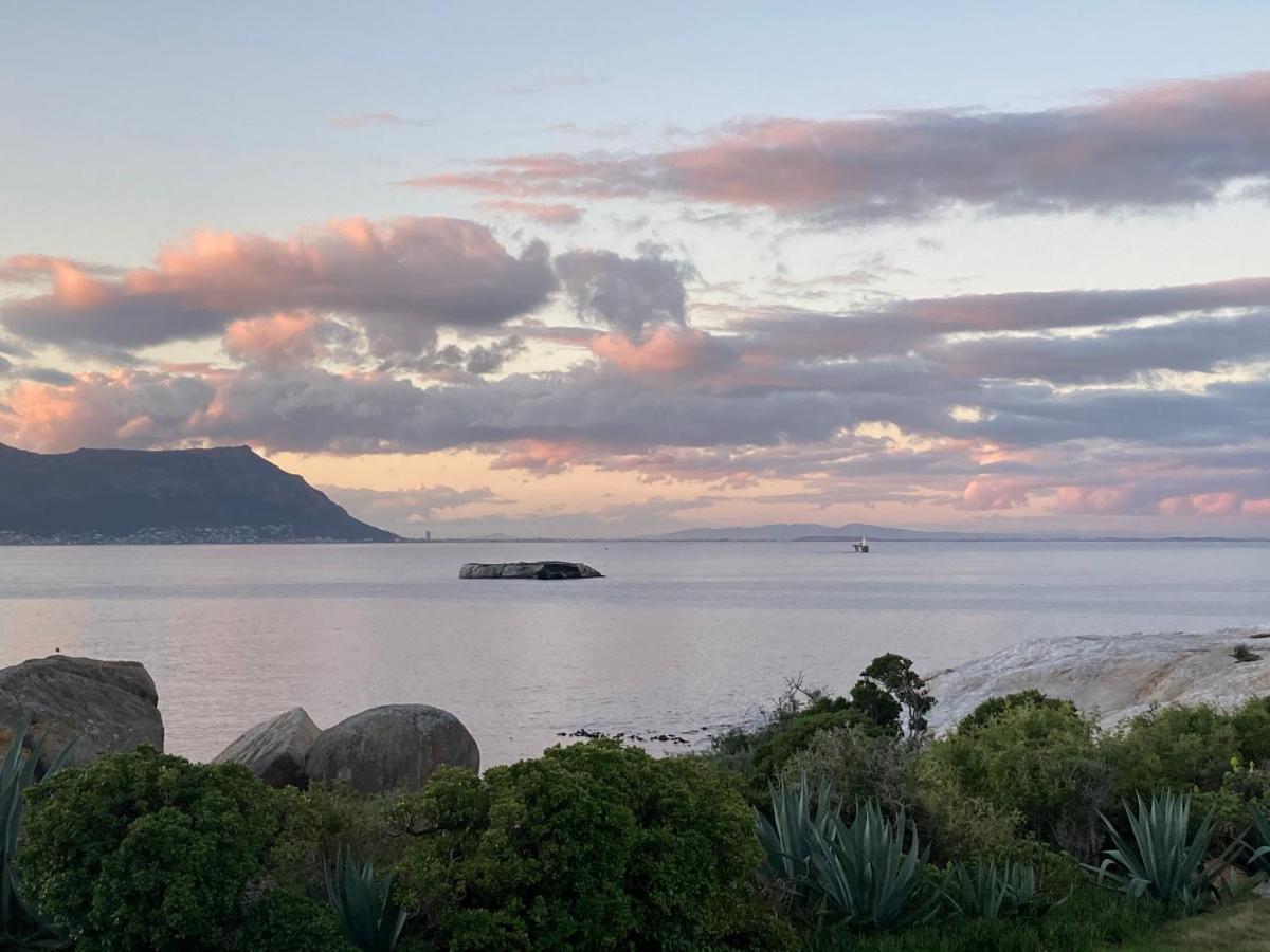 Bosky Dell On Boulders Beach Simonʼs Town Exterior foto